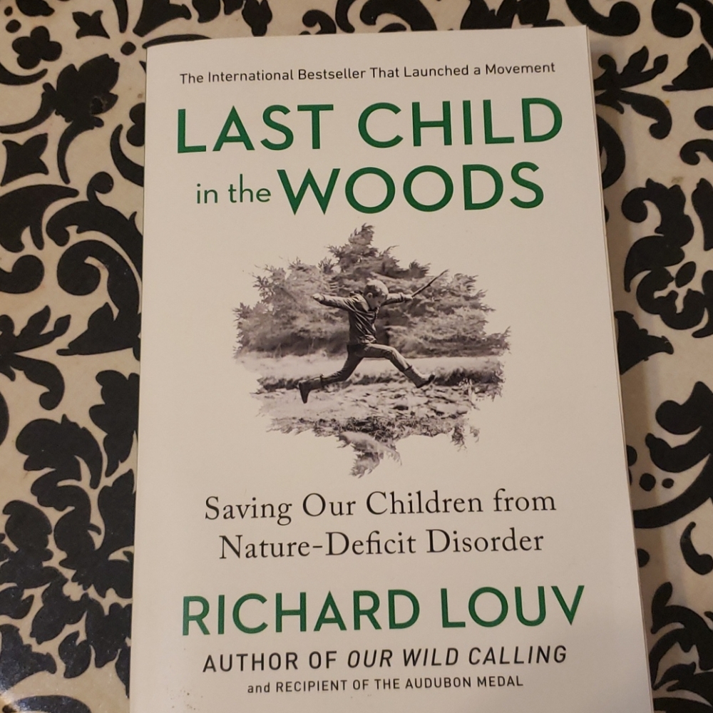 Last Child in the Woods book